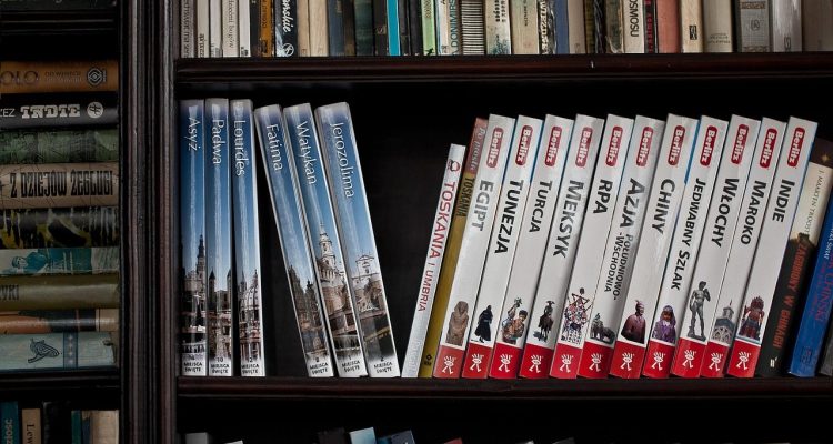 books, library, books in the library, books on the shelf, book, knowledge, borrow, bookcase, information