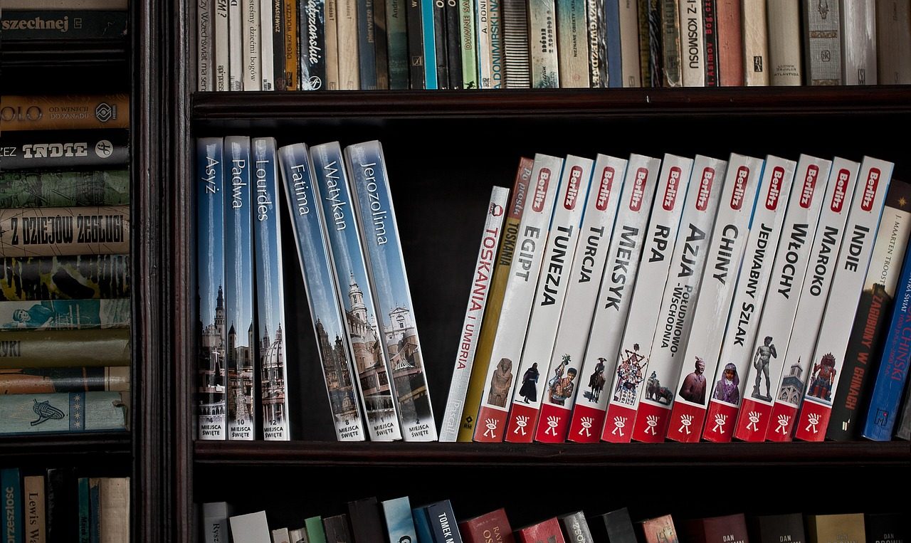 books, library, books in the library, books on the shelf, book, knowledge, borrow, bookcase, information